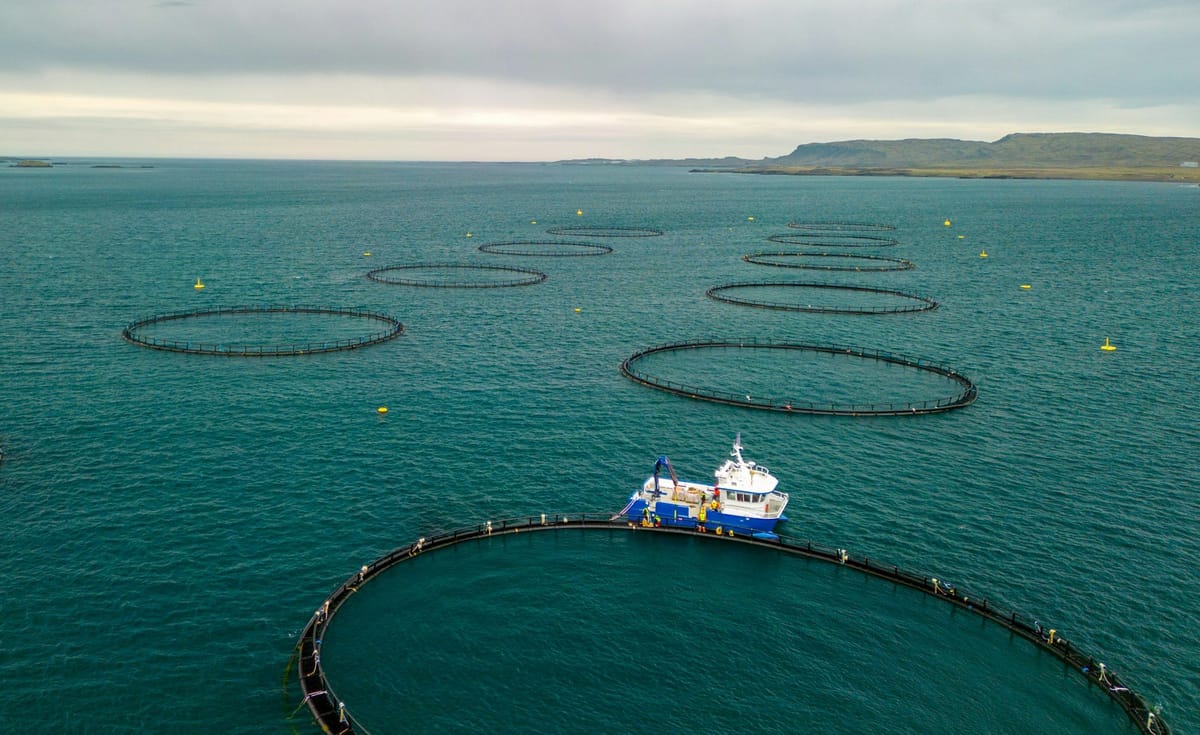 Circular open-net fish farm pens across coastal waters, with a workboat alongside the nearest enclosure.
