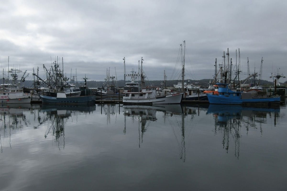 Fishing fleet moored on still grey water, vessels reflected in the calm surface, overcast sky, wide harbour view.