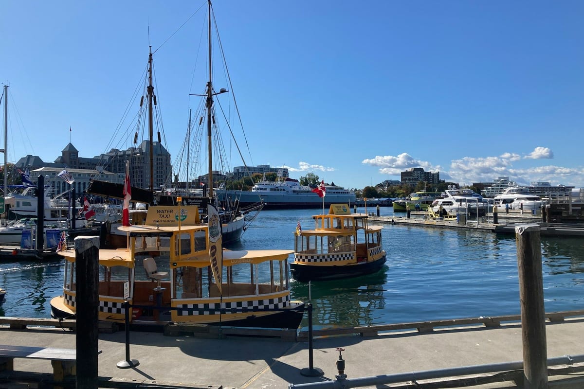 Yellow water taxis and sailboats moored in Victoria’s Inner Harbour beneath a clear blue sky.
