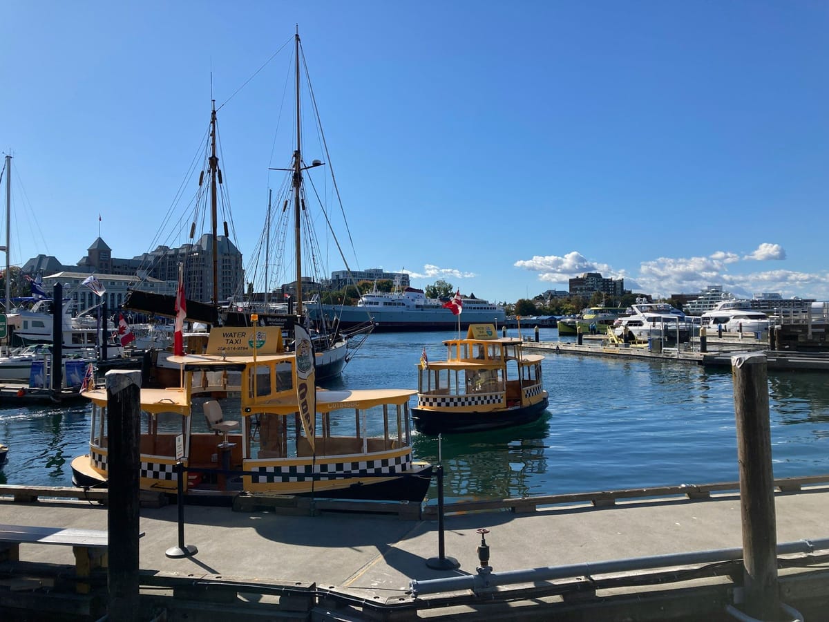Yellow water taxis and sailboats moored in Victoria’s Inner Harbour beneath a clear blue sky.