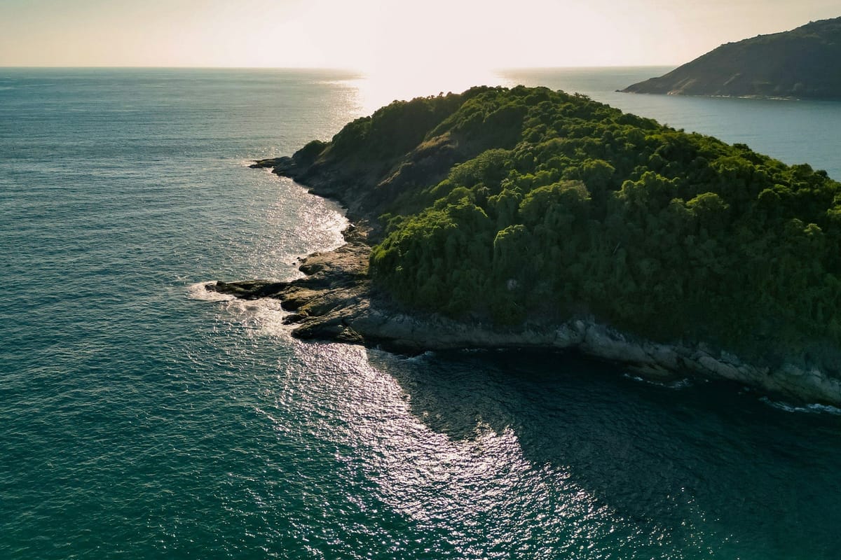 Aerial view of a densely forested coastal island surrounded by sunlit ocean waters.