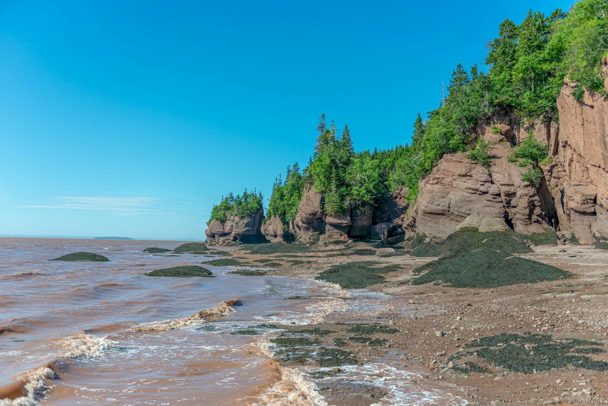 Rocky coastal cliffs topped with evergreen forest beside reddish tidal waters under a clear blue sky.