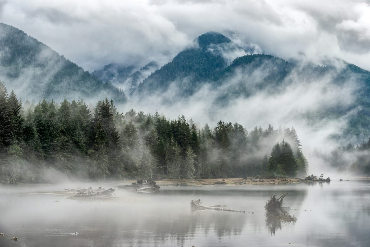 Indigenous Stewardship