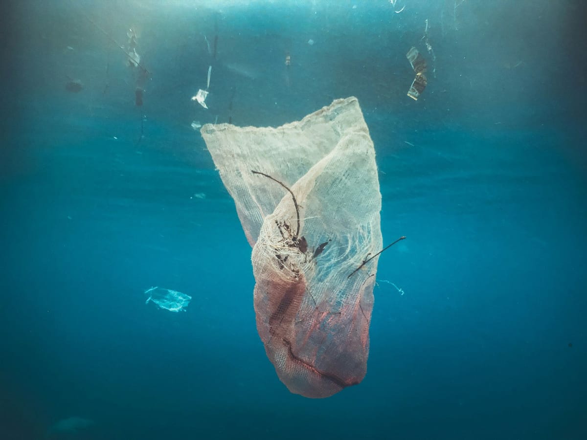 Discarded plastic mesh bag and other debris floating underwater in the ocean.