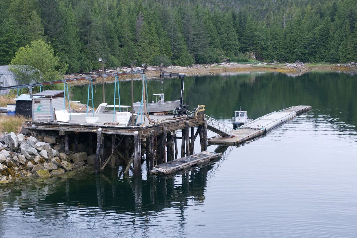 Small coastal work dock with boats and equipment in a sheltered inlet bordered by dense evergreen forest.
