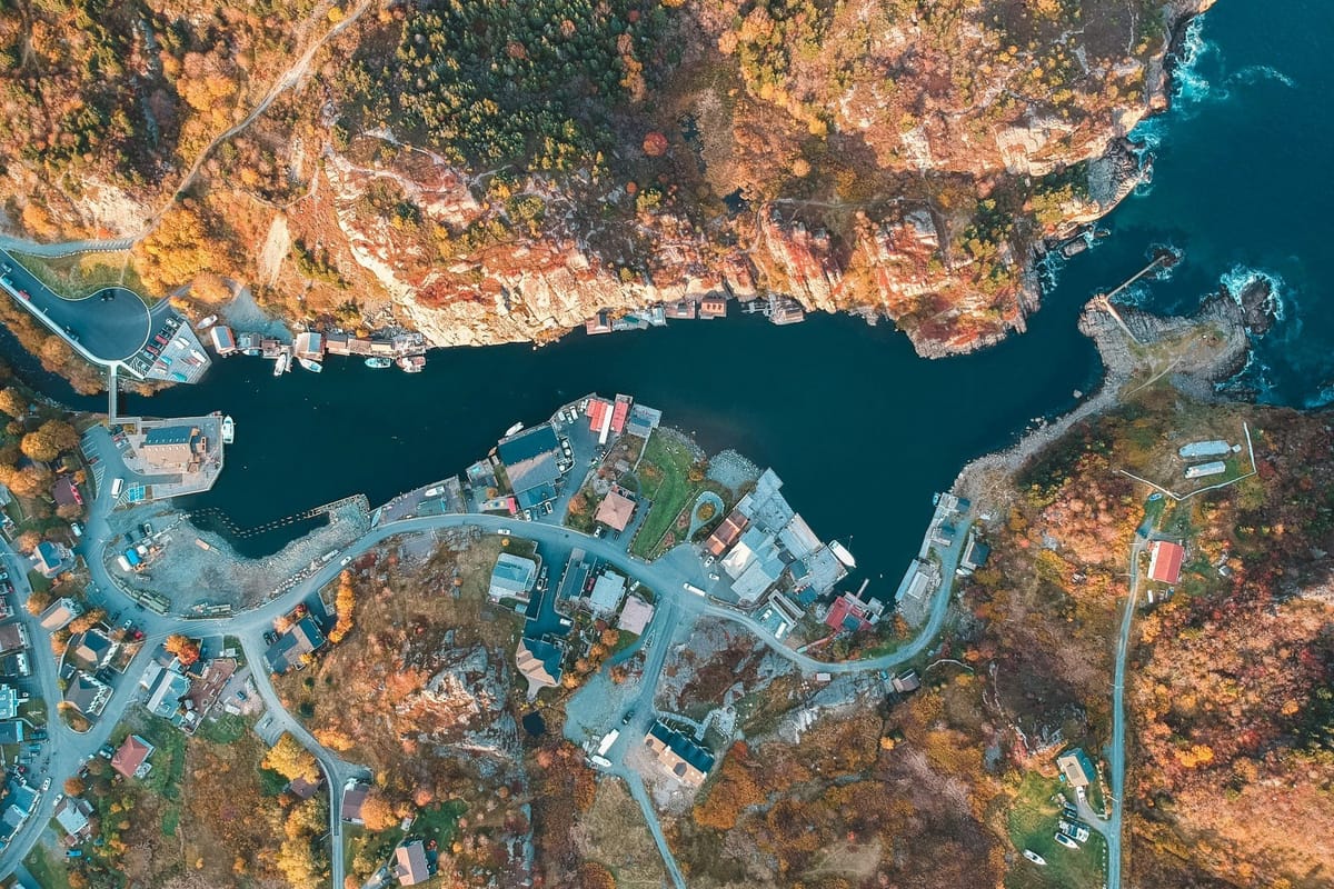 Aerial view of a small rocky coastal harbour surrounded by homes, winding roads, and autumn forest.