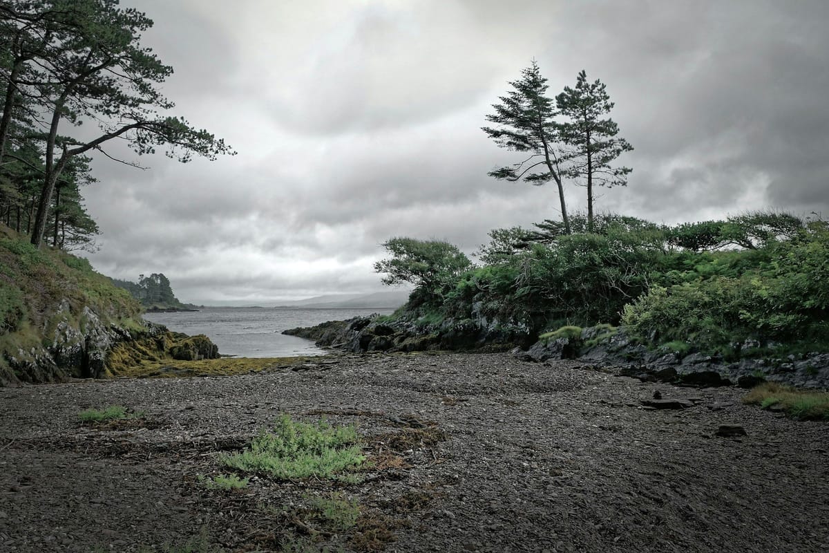 Rocky coastal inlet framed by windswept evergreens beneath a heavy overcast sky.