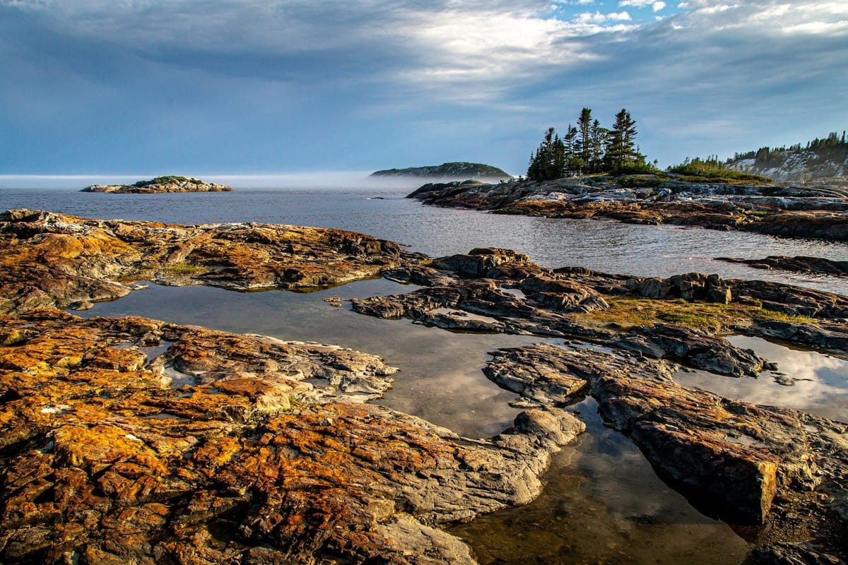 Rocky coastal shoreline with tide pools, small evergreen-covered islands, and low mist over the ocean.