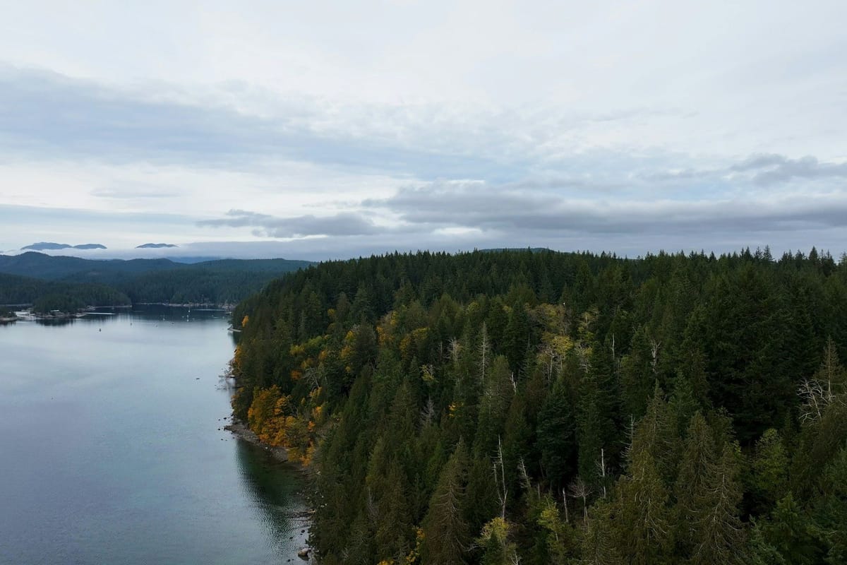 Aerial view of a densely forested coastal peninsula beside calm inlet waters under an overcast sky.