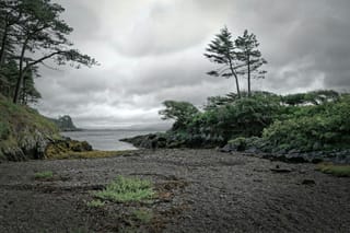 Rocky coastal inlet framed by windswept evergreens beneath a heavy overcast sky.