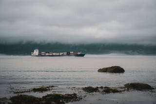 Container ship travelling through misty coastal waters, viewed from a rocky shoreline.