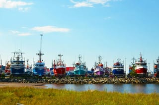 Colourful fishing and work boats lined up on shore beside a small harbour under a clear blue sky.