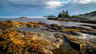 Rocky coastal shoreline with tide pools, small evergreen-covered islands, and low mist over the ocean.