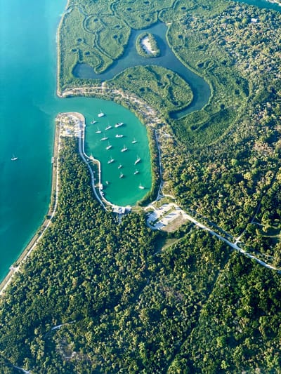 Part IV. The Stakeholders