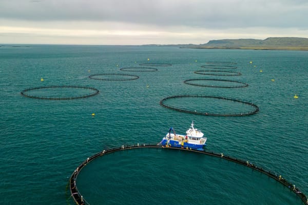 Circular open-net fish farm pens across coastal waters, with a workboat alongside the nearest enclosure.
