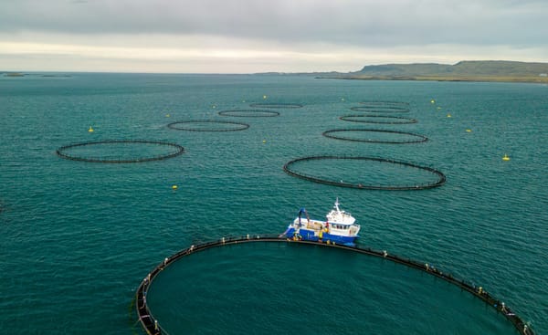 Circular open-net fish farm pens across coastal waters, with a workboat alongside the nearest enclosure.