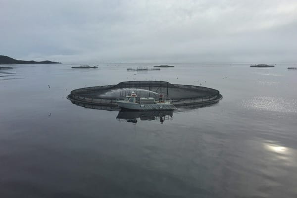 Circular open-net fish farm pen with a workboat on calm coastal waters beneath an overcast sky.
