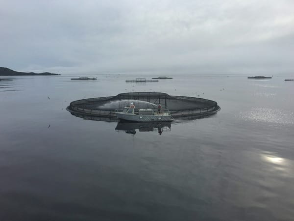 Circular open-net fish farm pen with a workboat on calm coastal waters beneath an overcast sky.