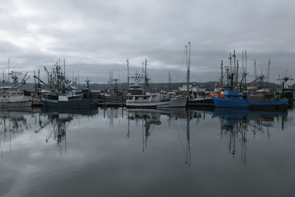 Fishing fleet moored on still grey water, vessels reflected in the calm surface, overcast sky, wide harbour view.