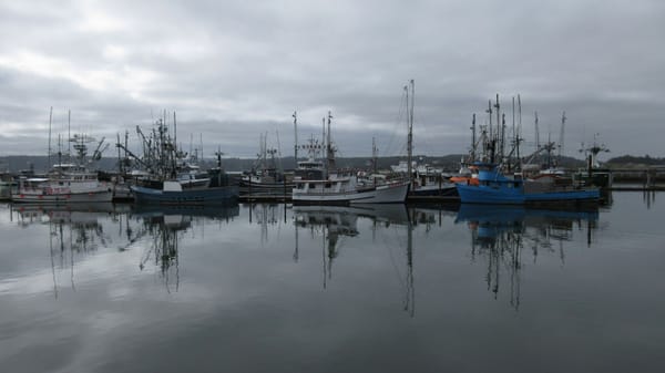 Fishing fleet moored on still grey water, vessels reflected in the calm surface, overcast sky, wide harbour view.