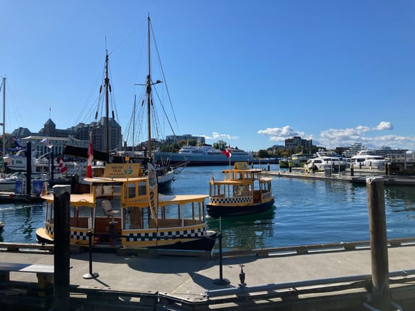 Yellow water taxis and sailboats moored in Victoria’s Inner Harbour beneath a clear blue sky.