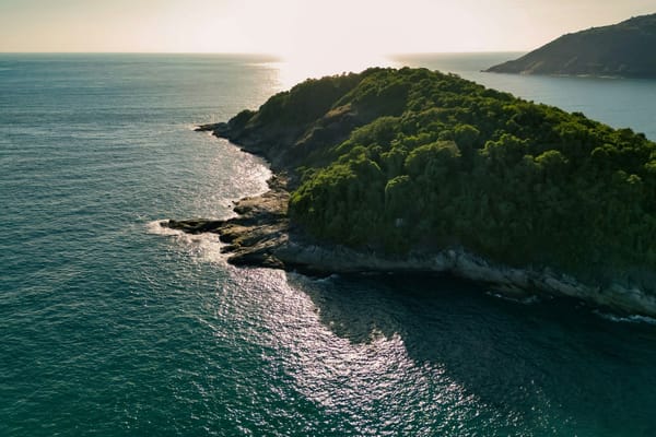 Aerial view of a densely forested coastal island surrounded by sunlit ocean waters.
