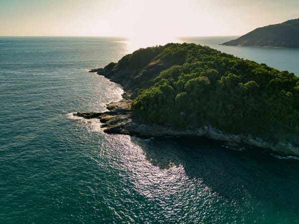 Aerial view of a densely forested coastal island surrounded by sunlit ocean waters.