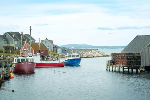 Fishing boats moored in a small coastal harbour beside waterfront homes and stacked lobster traps.