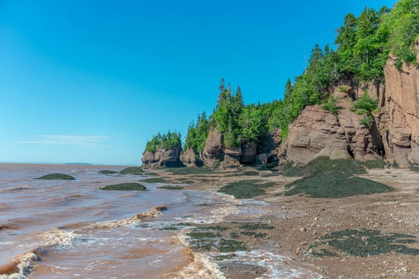 Rocky coastal cliffs topped with evergreen forest beside reddish tidal waters under a clear blue sky.