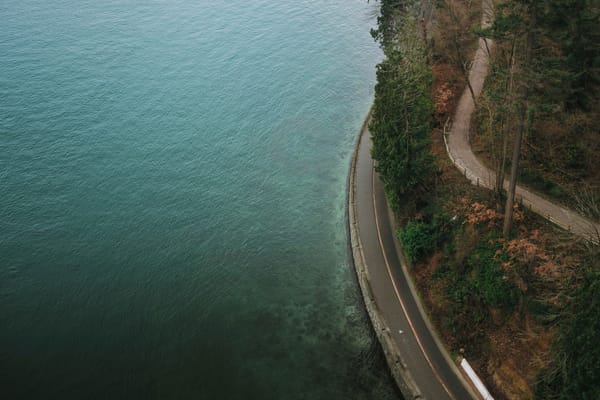 Aerial view of a winding coastal road between turquoise water and a densely wooded shoreline.
