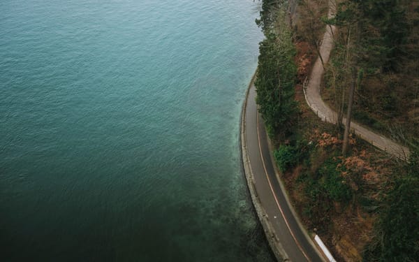 Aerial view of a winding coastal road between turquoise water and a densely wooded shoreline.