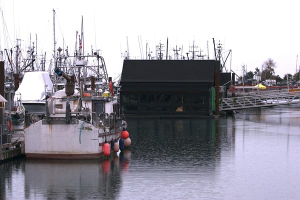 Fishing boats moored beside a dark waterfront shed in a rain-soaked harbour.