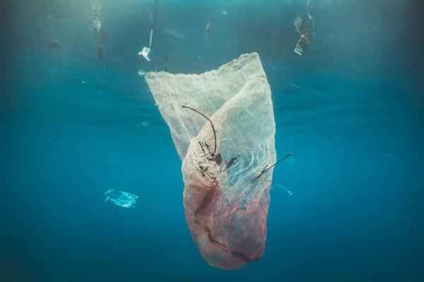 Discarded plastic mesh bag and other debris floating underwater in the ocean.