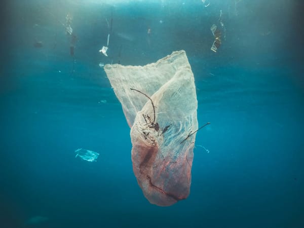 Discarded plastic mesh bag and other debris floating underwater in the ocean.