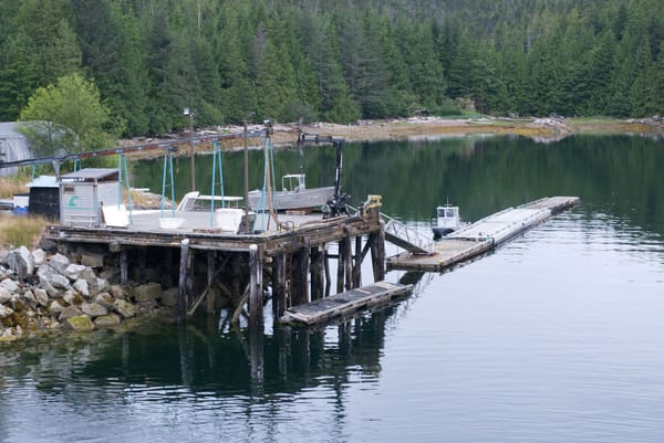 Small coastal work dock with boats and equipment in a sheltered inlet bordered by dense evergreen forest.