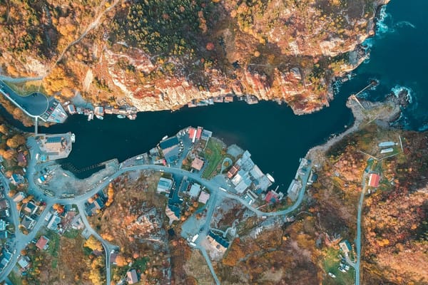 Aerial view of a small rocky coastal harbour surrounded by homes, winding roads, and autumn forest.