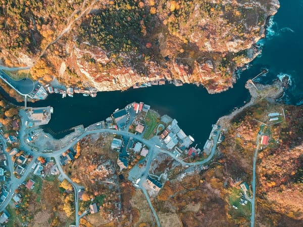 Aerial view of a small rocky coastal harbour surrounded by homes, winding roads, and autumn forest.