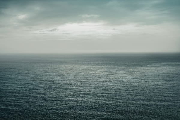 Grey open ocean stretching to the horizon beneath an overcast sky.