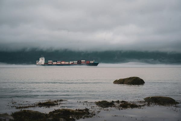 Container ship travelling through misty coastal waters, viewed from a rocky shoreline.