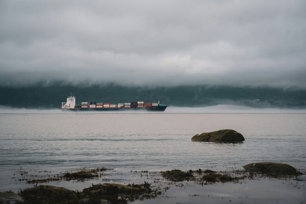 Container ship travelling through misty coastal waters, viewed from a rocky shoreline.