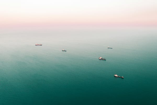 Aerial view of several cargo ships spread across calm open water beneath a hazy sky.
