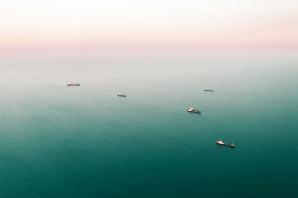 Aerial view of several cargo ships spread across calm open water beneath a hazy sky.
