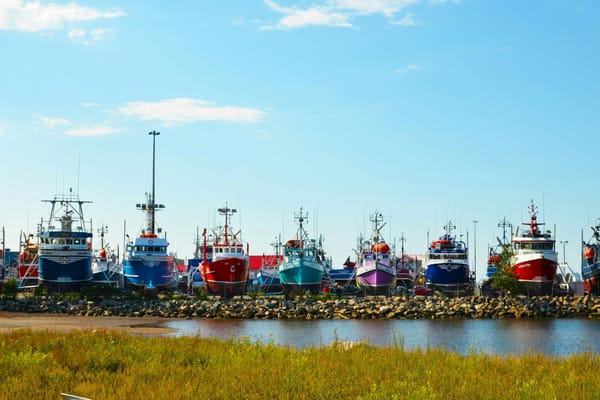 Colourful fishing and work boats lined up on shore beside a small harbour under a clear blue sky.