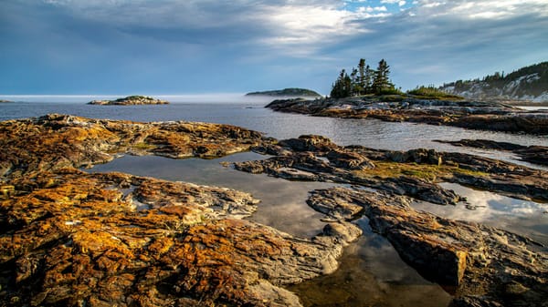 Rocky coastal shoreline with tide pools, small evergreen-covered islands, and low mist over the ocean.
