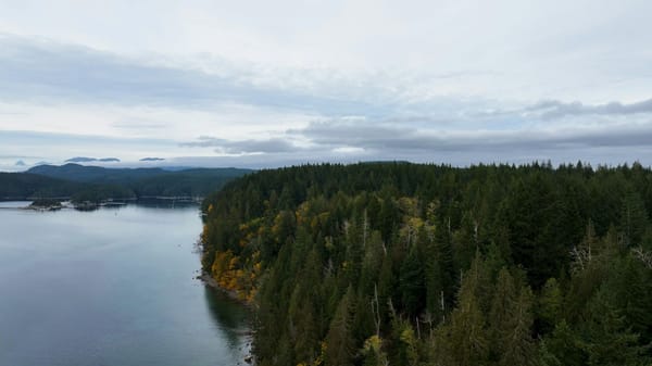 Aerial view of a densely forested coastal peninsula beside calm inlet waters under an overcast sky.