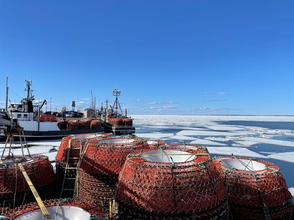 Who pays to keep ghost gear out of the ocean?