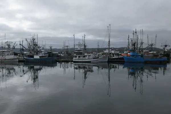 Fishing fleet moored on still grey water, vessels reflected in the calm surface, overcast sky, wide harbour view.