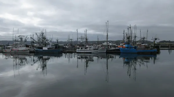 Fishing fleet moored on still grey water, vessels reflected in the calm surface, overcast sky, wide harbour view.