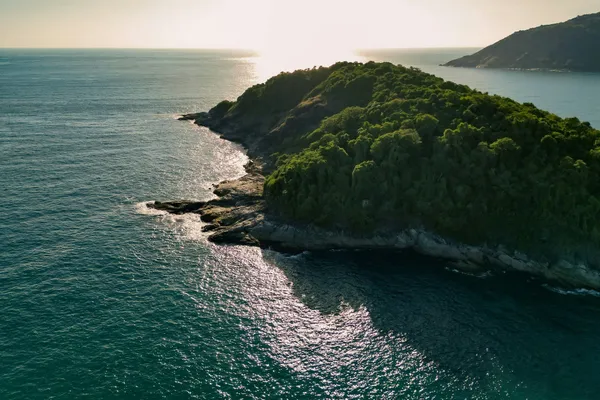 Aerial view of a densely forested coastal island surrounded by sunlit ocean waters.