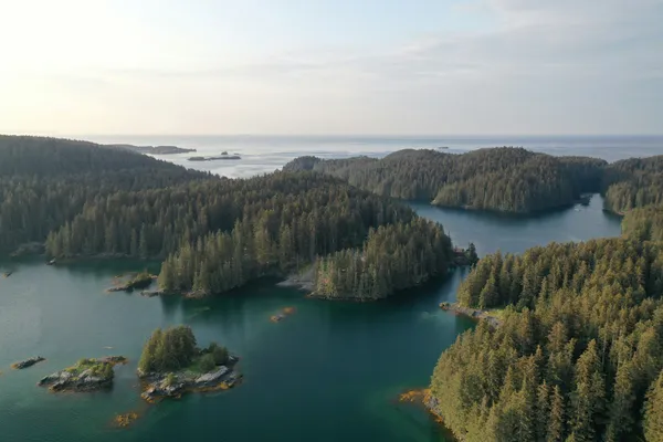 Aerial view of forested coastal islands and sheltered inlets opening onto the ocean.
